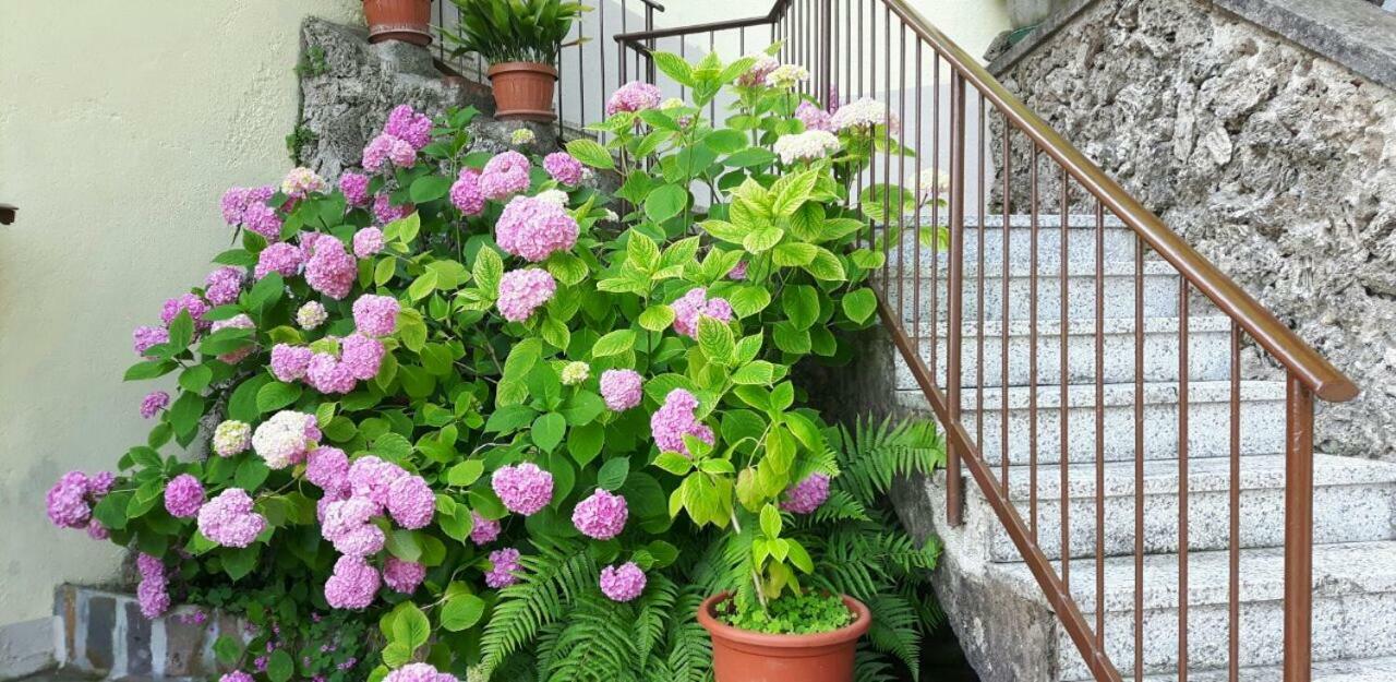B&B Il Poggio Salo Ngoại thất bức ảnh